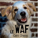 CAFE LE WAF
